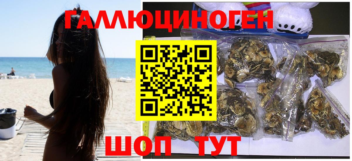 цены наркотик  Вход с VPN  Донецк  Галлюциногенные грибы прущие грибы  Псилоцибиновые грибы Psilocybe 